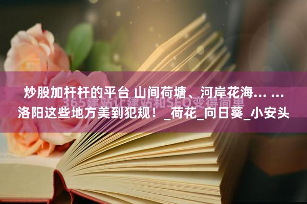 炒股加杆杆的平台 山间荷塘、河岸花海... ...洛阳这些地方美到犯规！_荷花_向日葵_小安头
