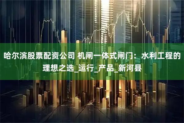 哈尔滨股票配资公司 机闸一体式闸门：水利工程的理想之选_运行_产品_新河县