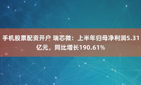 手机股票配资开户 瑞芯微：上半年归母净利润5.31亿元，同比增长190.61%